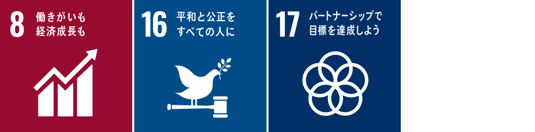 SDGsの目標8,16,17について